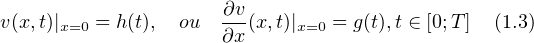                      ?v
v(x,t)|x=0 = h(t),  ou  --(x,t)|x=0 = g(t),t ? [0;T] (1.3)
                     ?x
